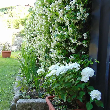 Hortus Orta Lejlighed Omegna