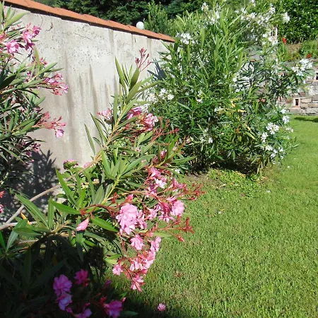 Апартаменты Hortus Orta