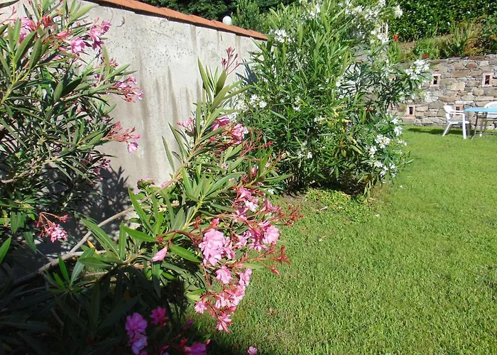 Apartamento Hortus Orta