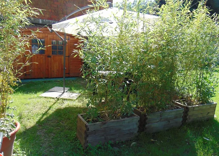 Hortus Orta